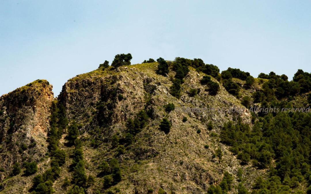Photo of Outdoor in Murchas