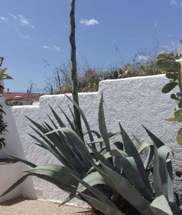 Photo of Others in Guadix
