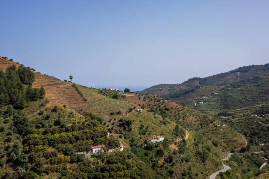 Photo of Others in Almunecar