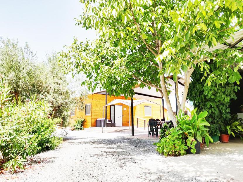 Photo of Buildings in Churriana de la Vega