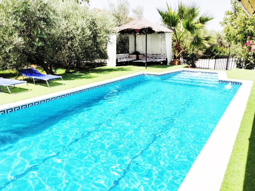 Photo of Outdoor in Churriana de la Vega