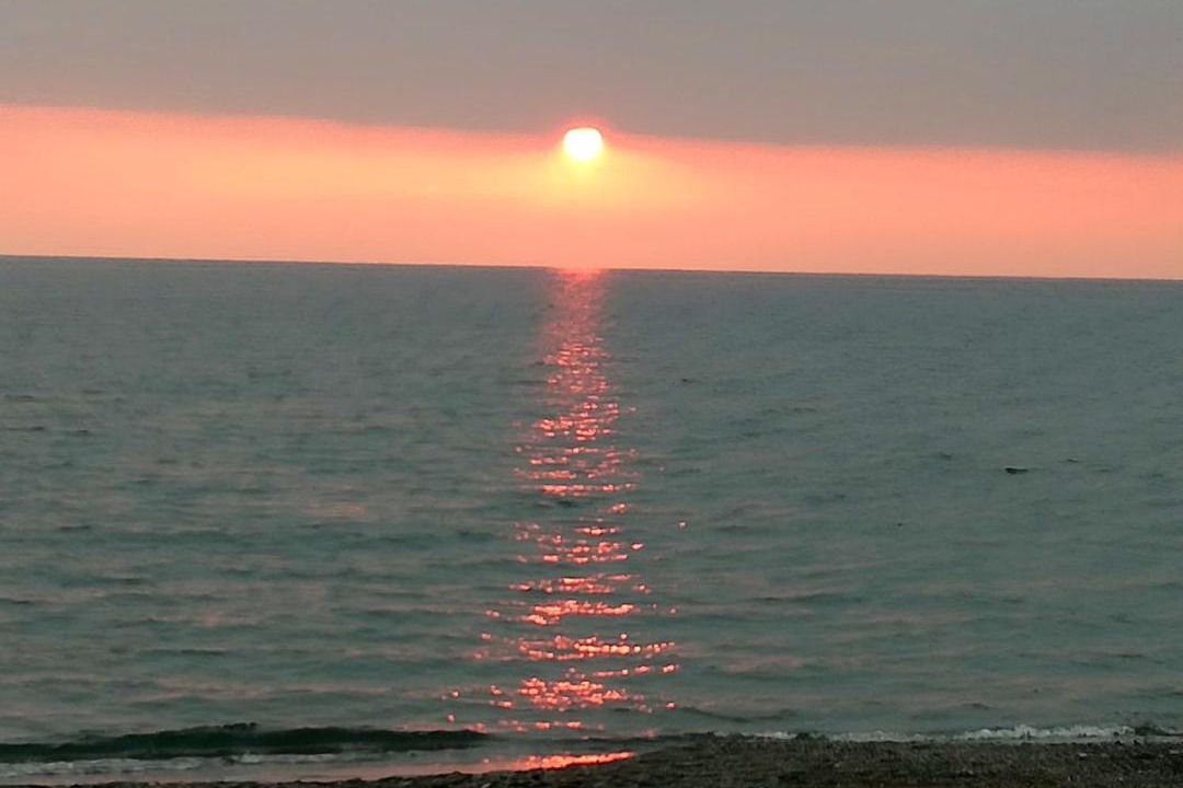 Photo of Outdoor in Albunol