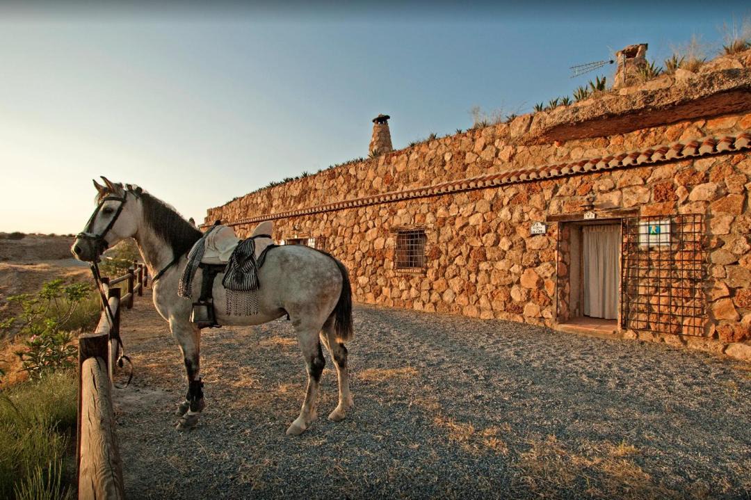 Photo of Buildings in Gorafe