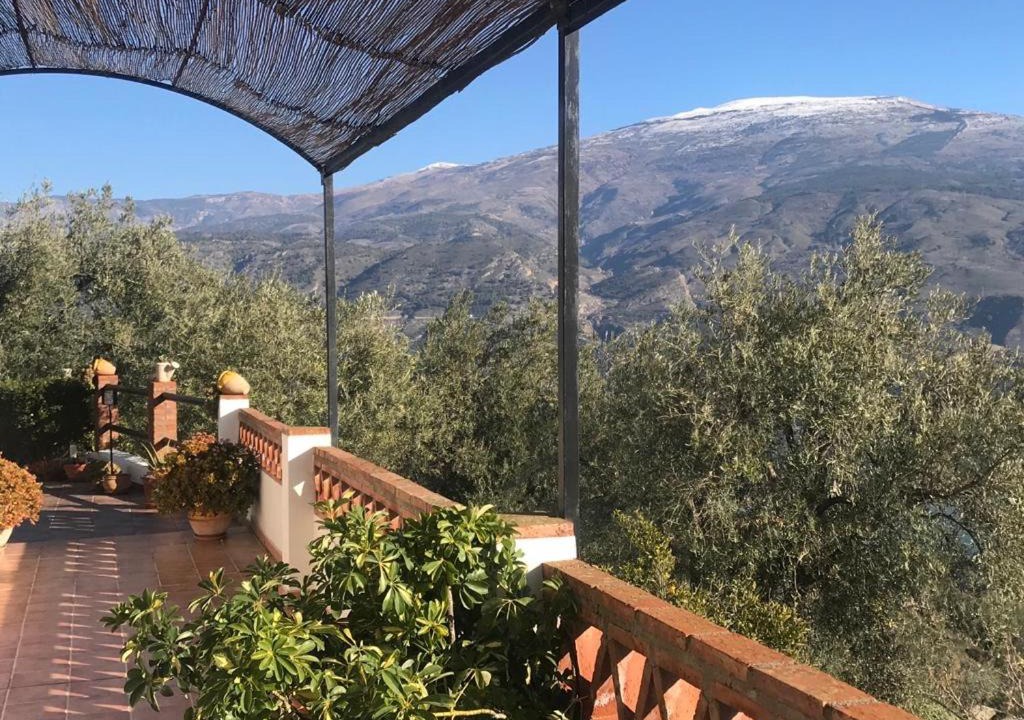 Photo of Others in Pinos del Valle