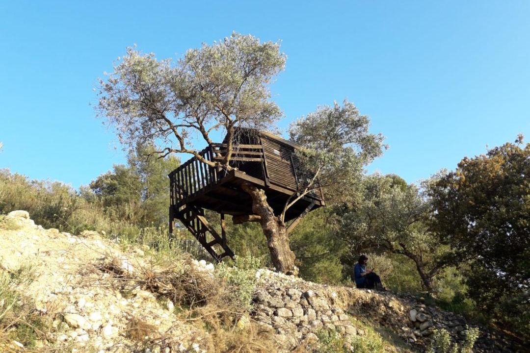 Photo of Others in Montefrio