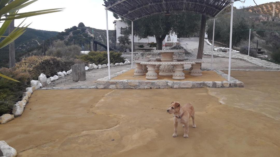 Photo of Others in Montefrio