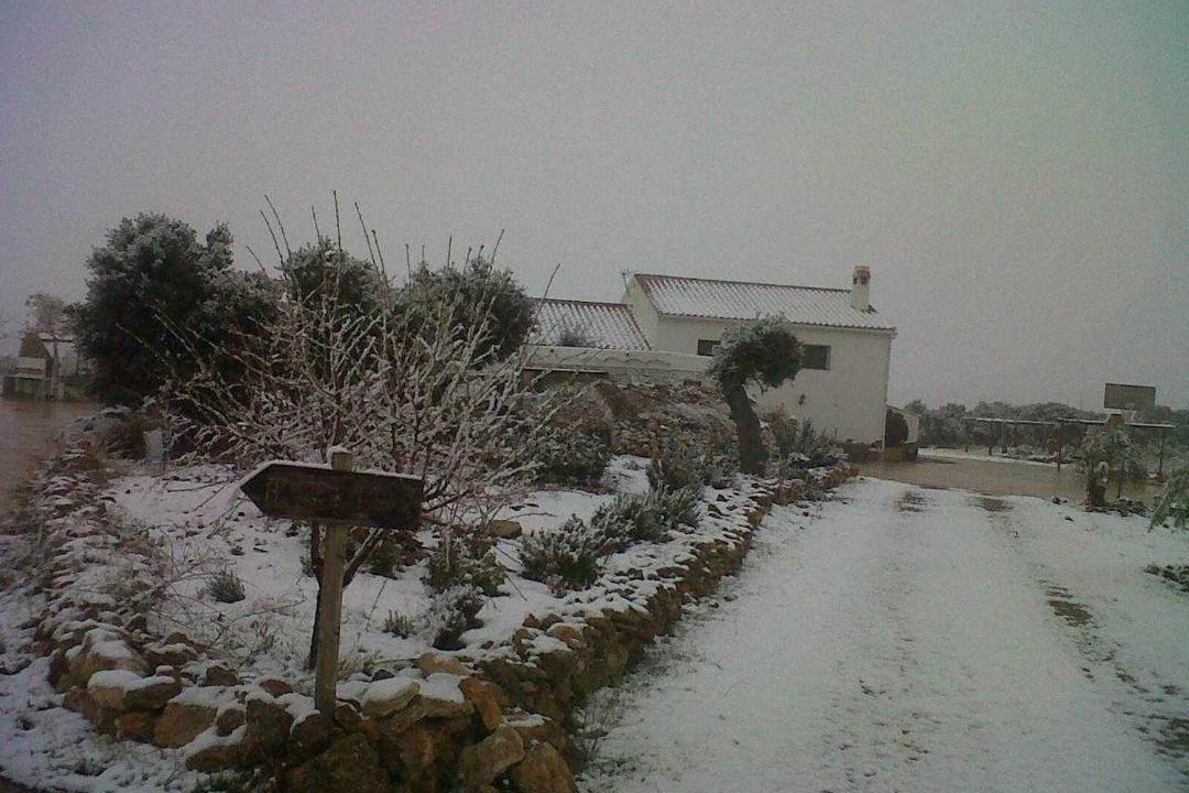 Photo of Others in Freila