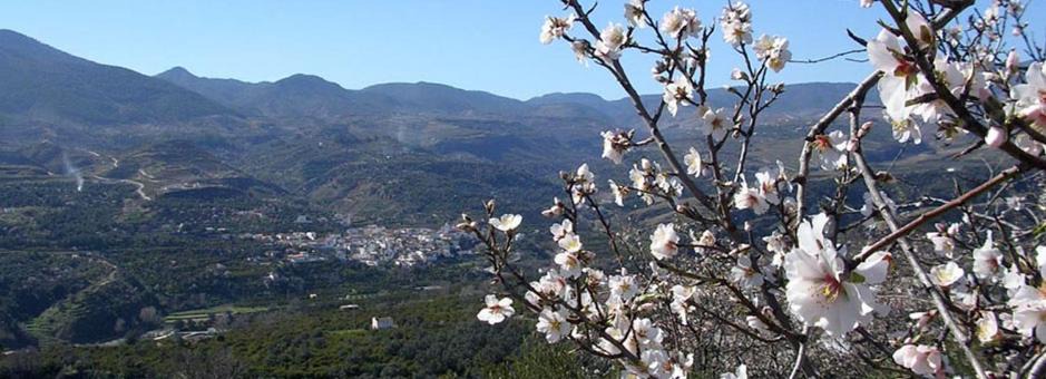 Photo of Others in Niguelas