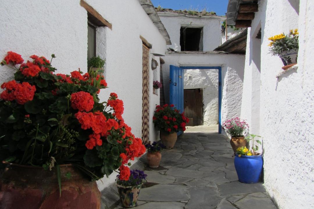 Photo of Others in Ferreirola