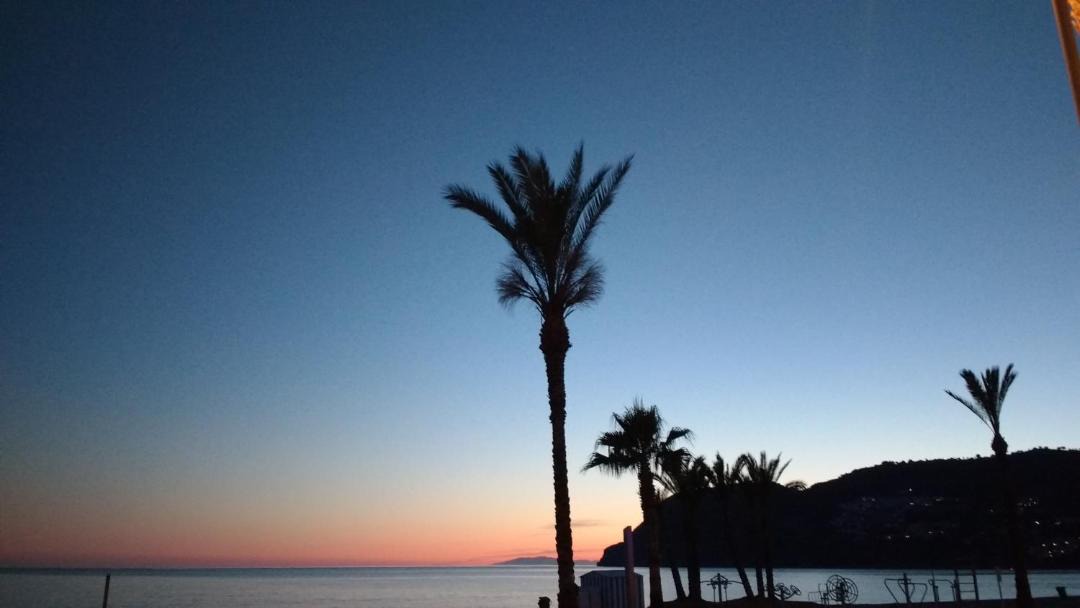 Photo of Others in La Herradura