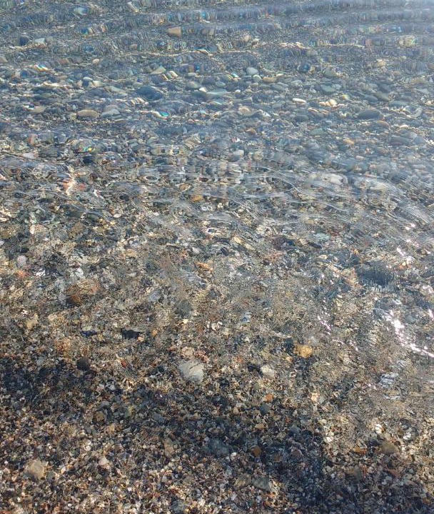 Photo of Outdoor in La Herradura