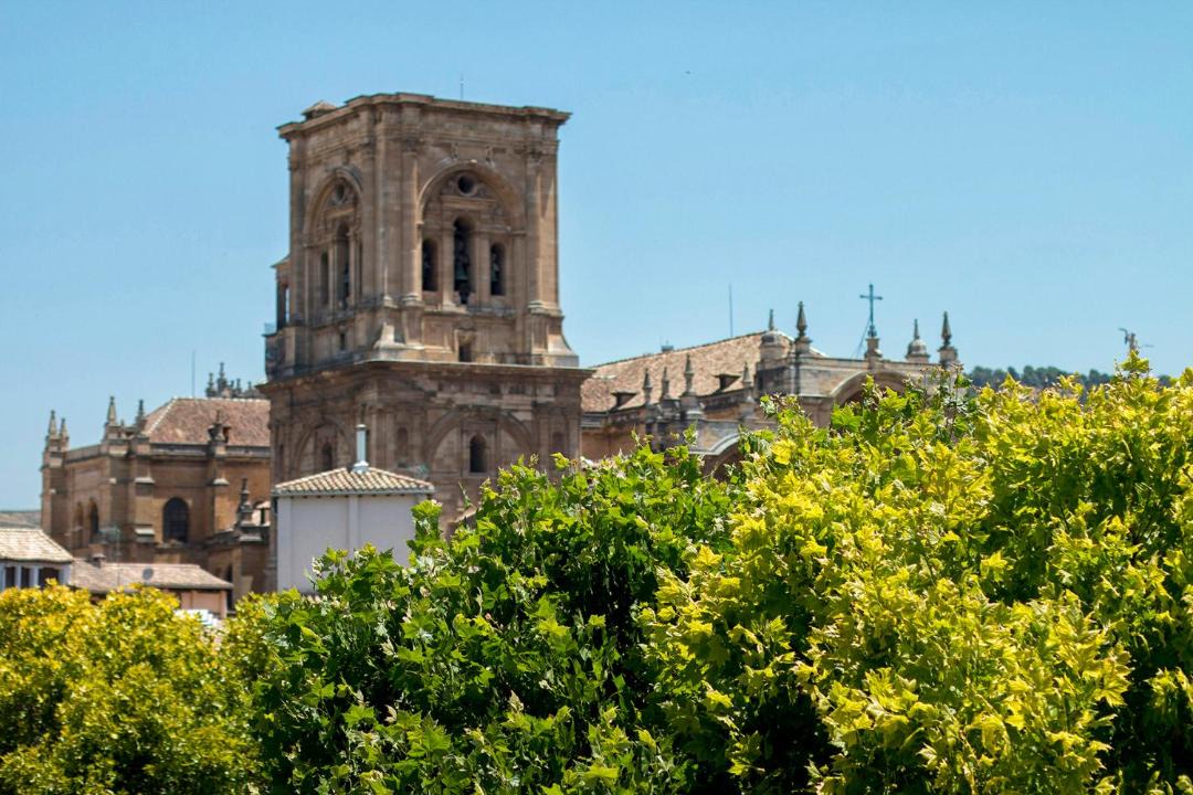 Photo of Others in Centro - Sagrario