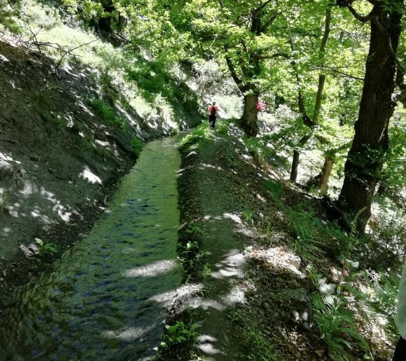 Photo of Others in Alpujarra De La Sierra