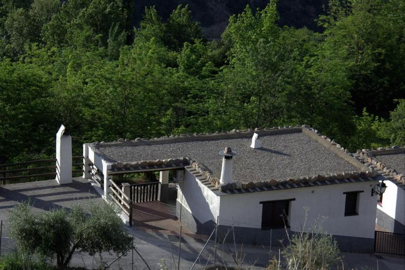 Photo of Others in Alcutar