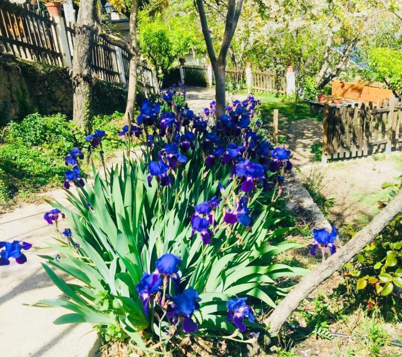 Photo of Outdoor in Laroles