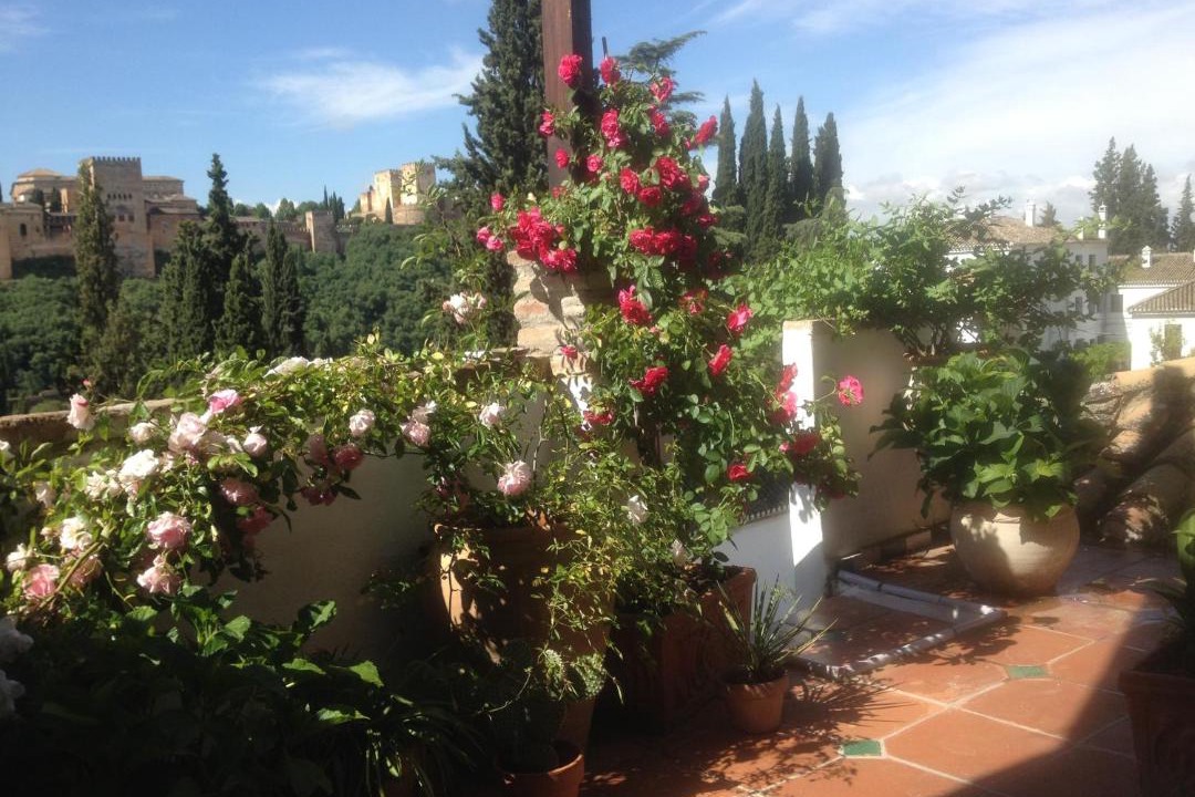 Photo of Patio Balcony in Sacromonte