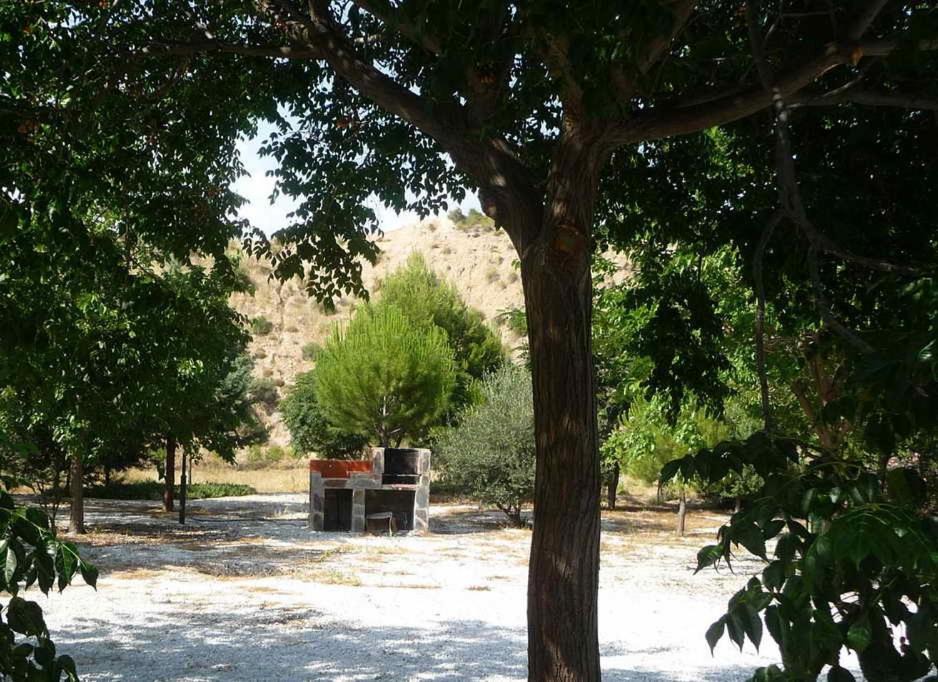 Photo of Others in Cuevas del Campo