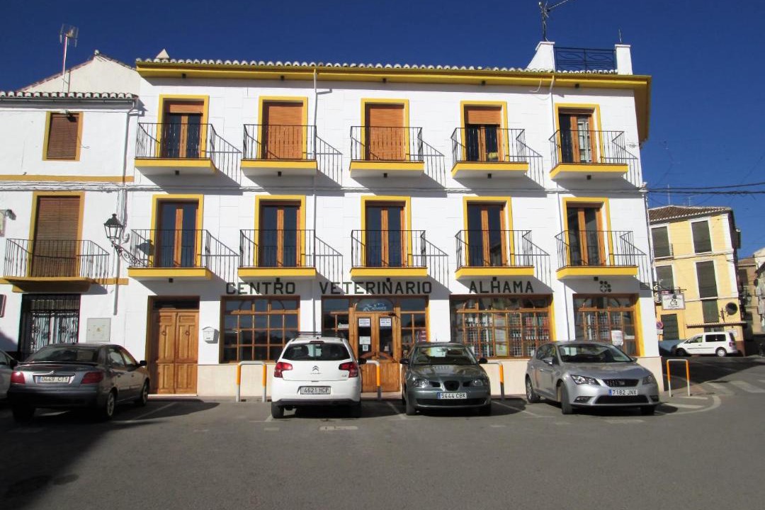 Photo of Buildings in Alhama de Granada