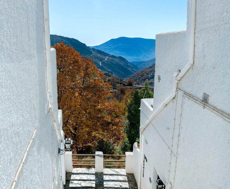 Photo of Others in Capileira