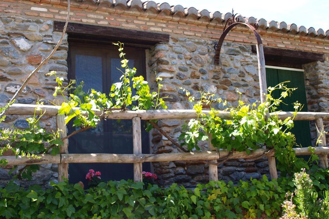 Photo of Others in Niguelas