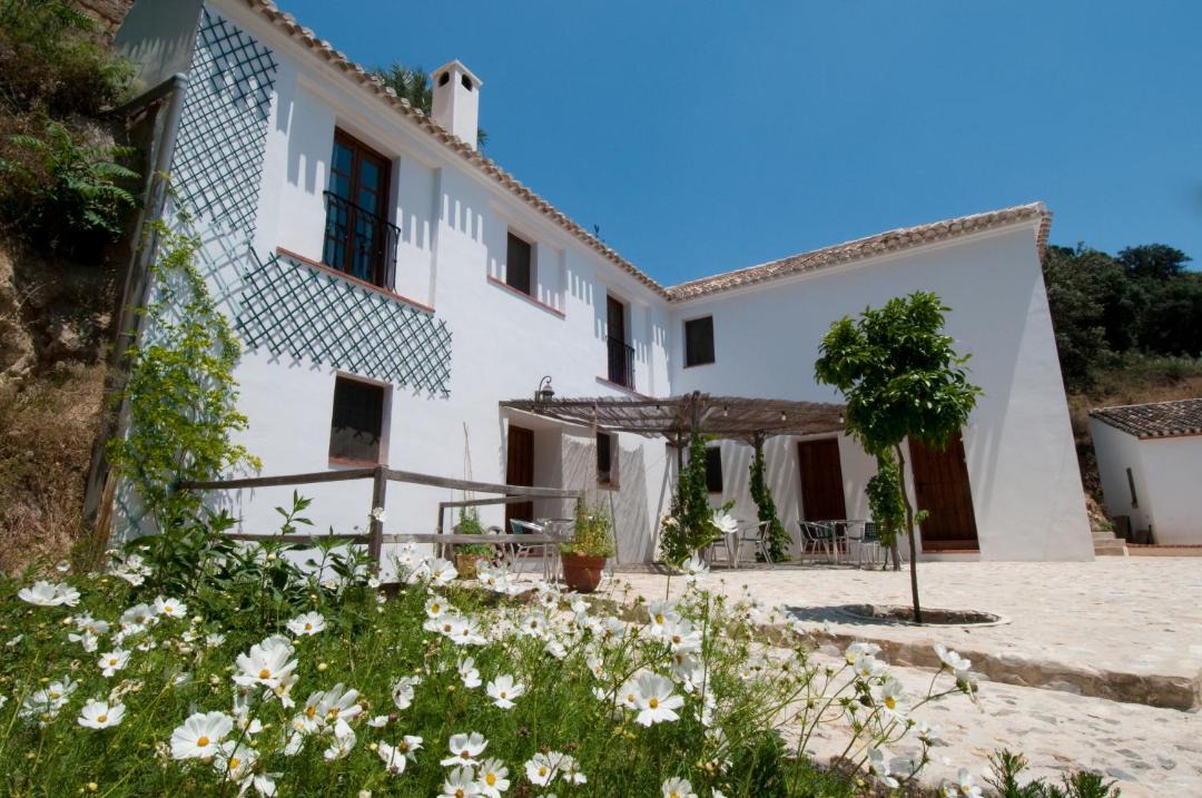 Photo of Others in Algarinejo