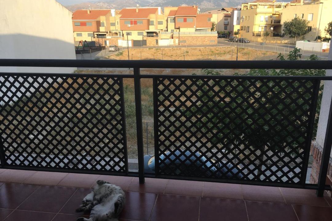 Photo of Others in Armilla