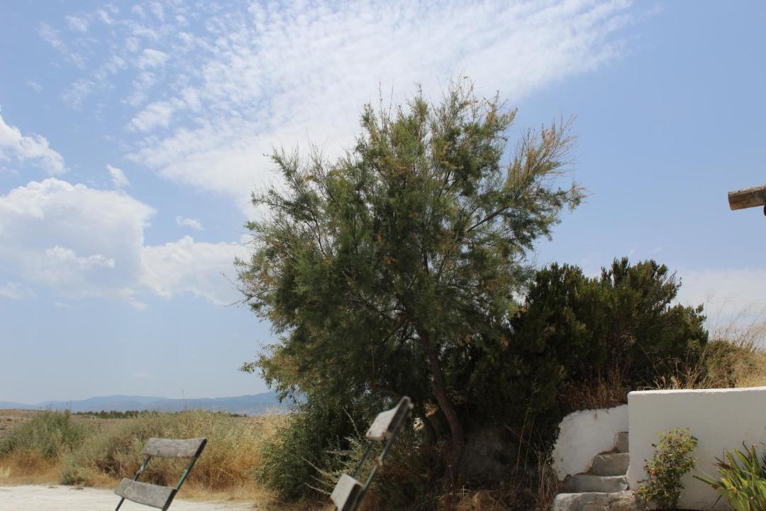 Photo of Others in Baza