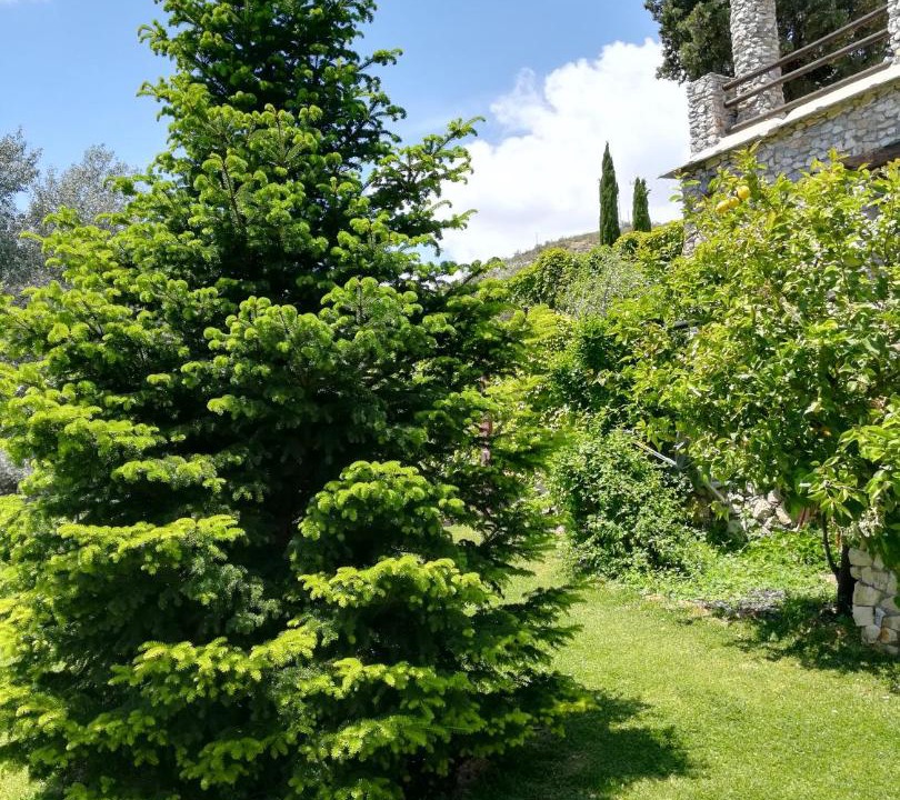 Photo of Outdoor in Carataunas
