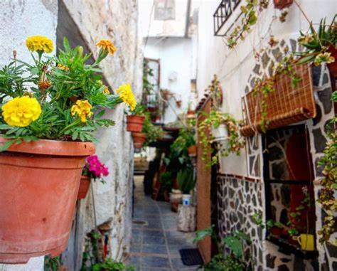 Photo of Others in Lanjaron