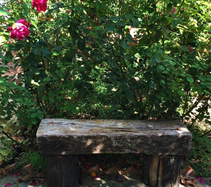 Photo of Outdoor in Restabal