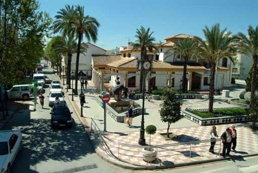 Photo of Others in Churriana de la Vega
