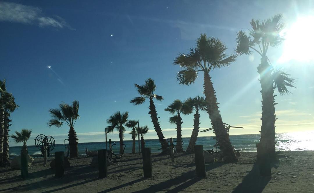 Photo of Others in La Herradura