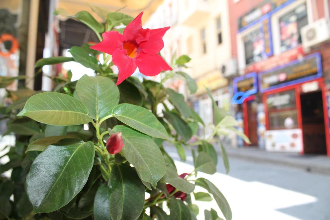 Photo of Others in Rasimpasa