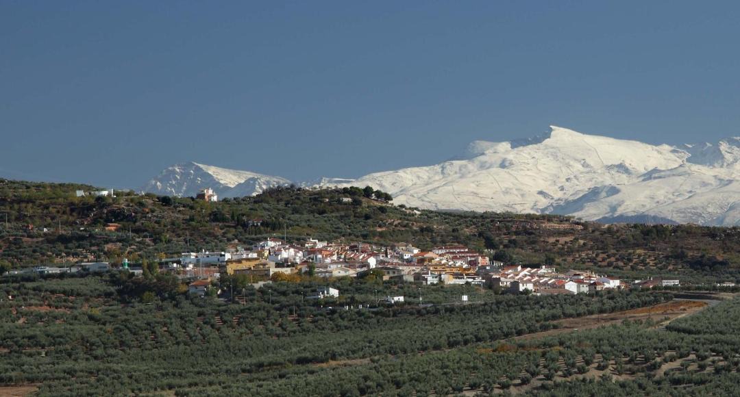 Photo of Others in Guevejar