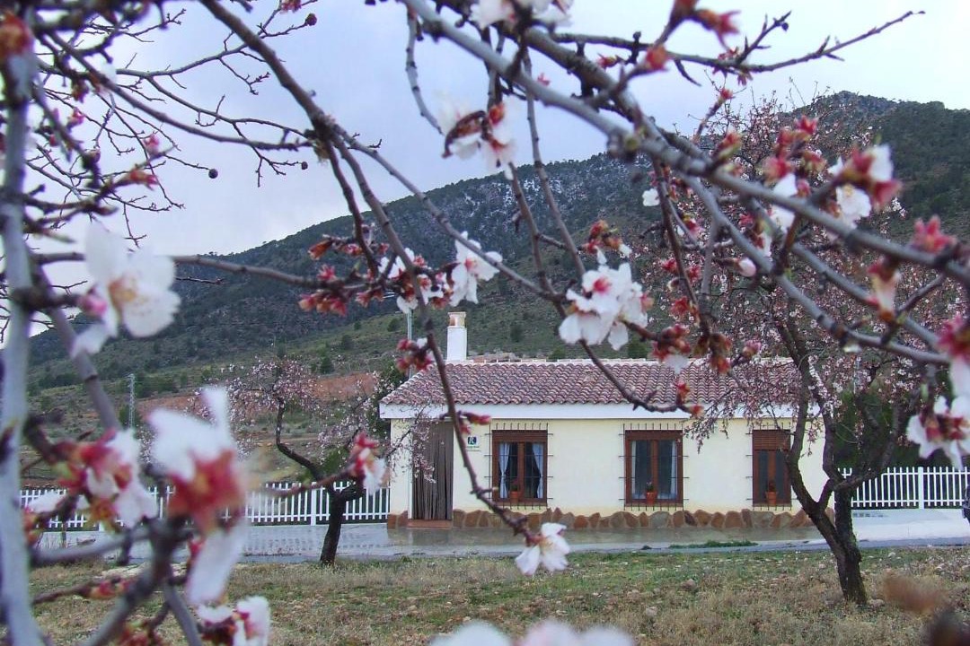 Photo of Others in Huescar