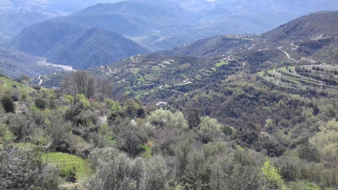 Photo of Others in Carataunas