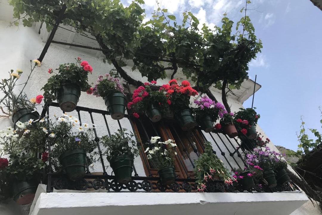 Photo of Patio Balcony in Bubion