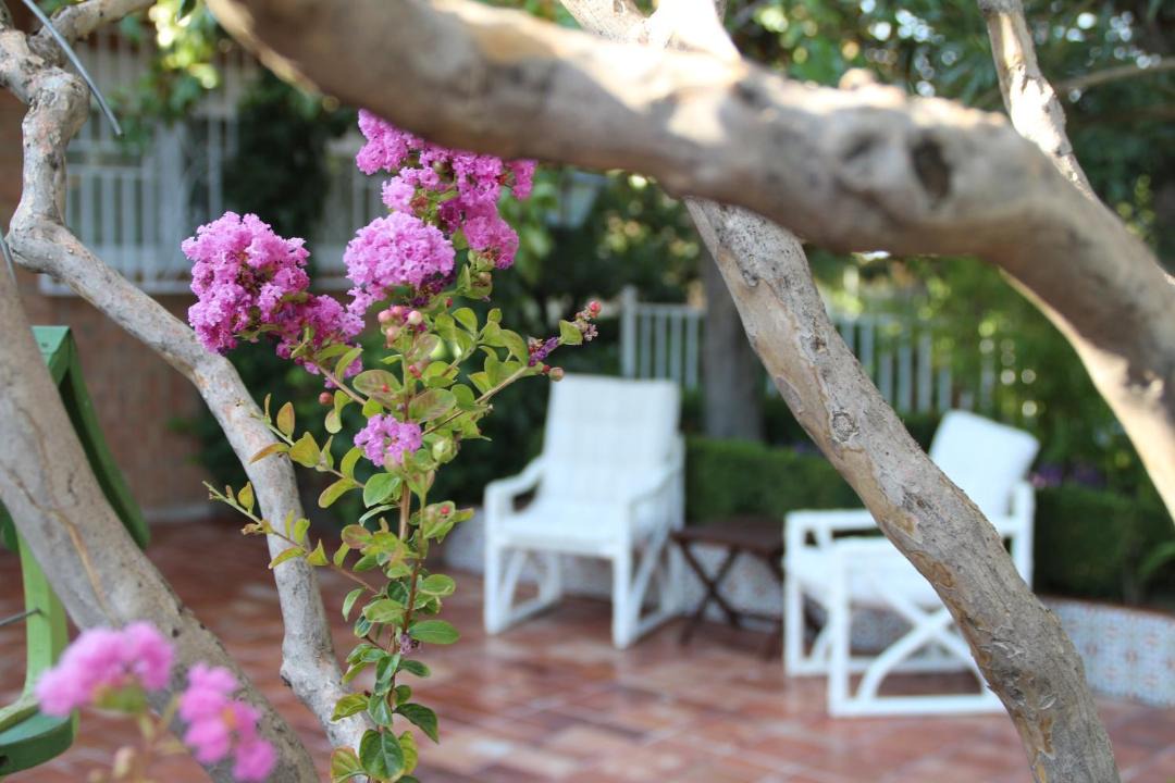 Photo of Patio Balcony in Barrio de la Vega