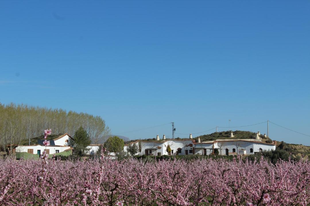 Photo of Others in Guadix