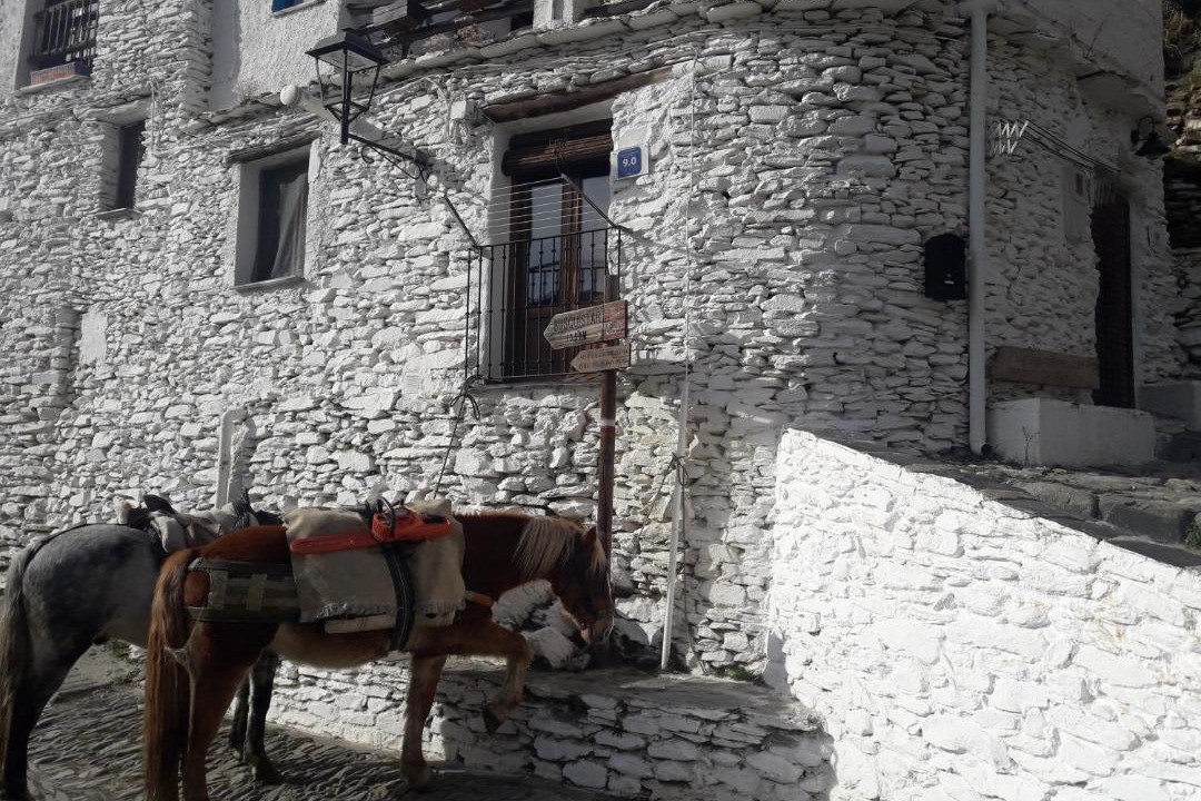 Photo of Others in Trevelez