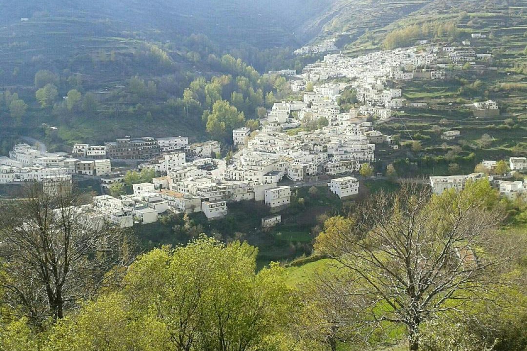 Photo of Others in Trevelez