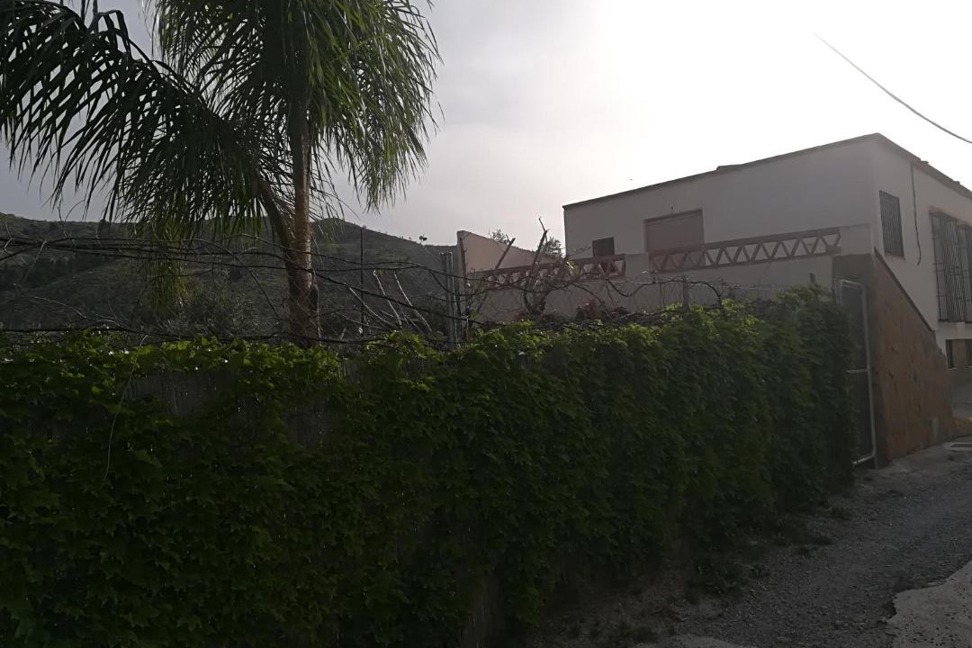 Photo of Others in El Pinar