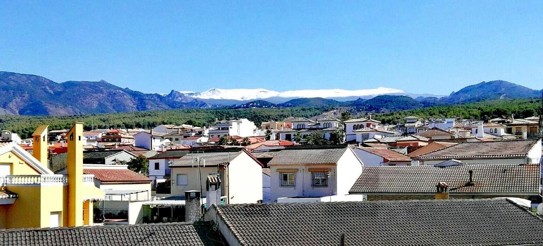 Photo of Others in La Zubia