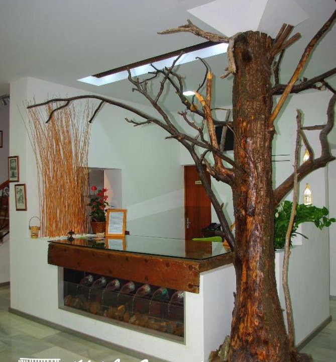 Photo of Others in Lanjaron