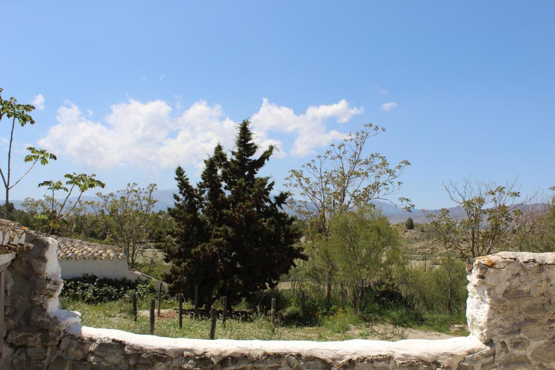 Photo of Others in Baza