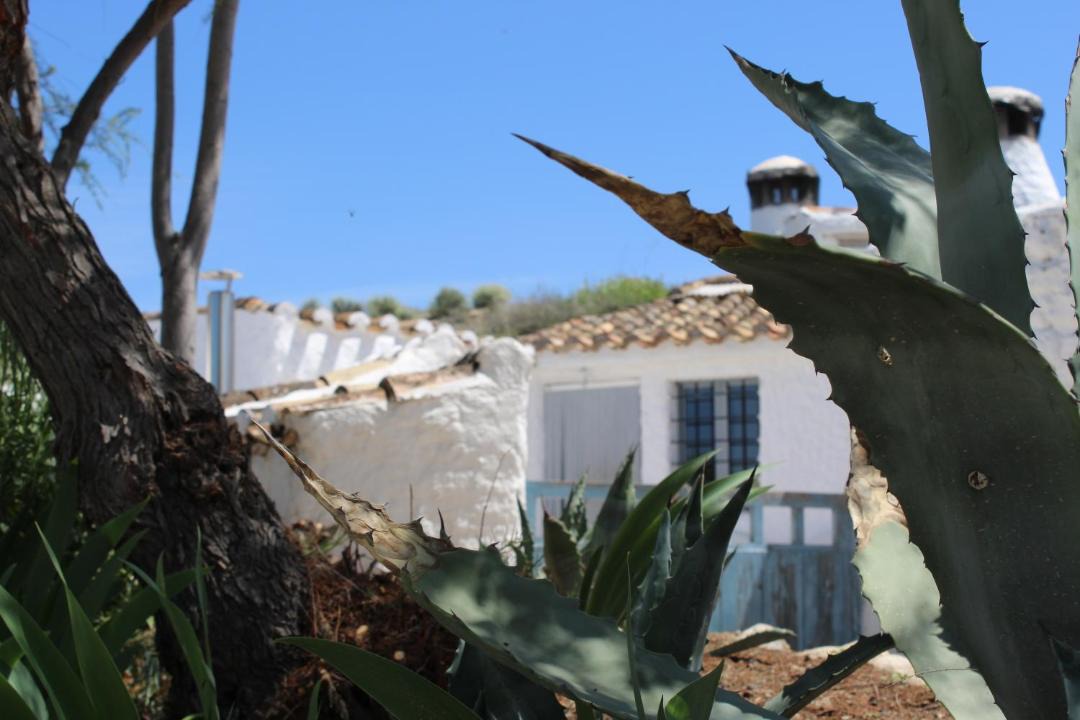 Photo of Buildings in Baza