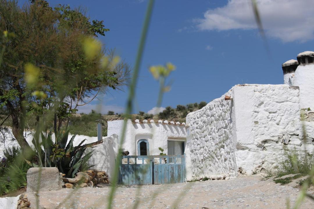 Photo of Others in Baza
