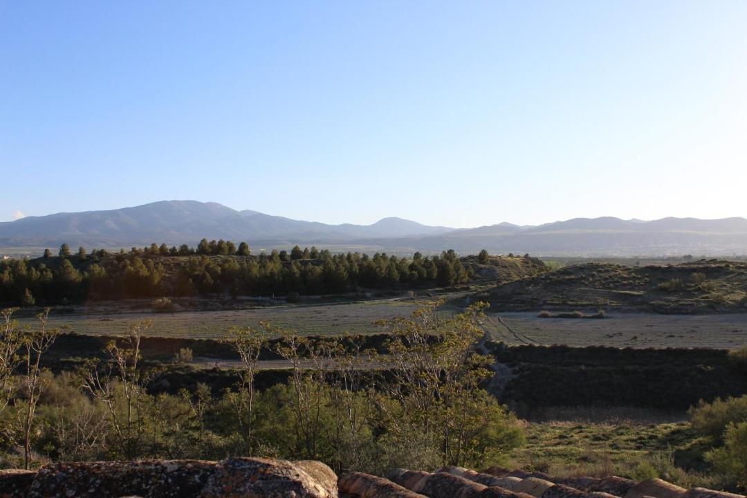 Photo of Others in Baza