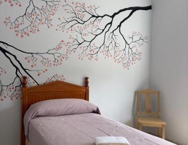 Large Single Room
