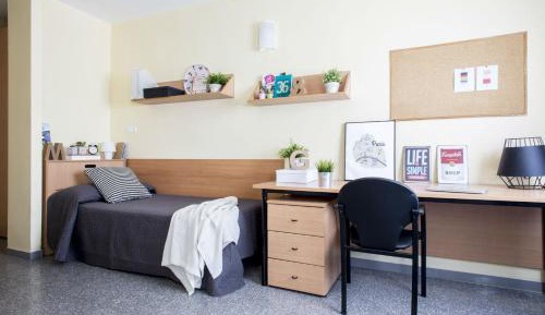 Superior Single Room